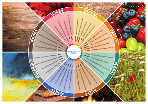 WMTastingWheel_A3-Frame-144dpi_1 - 副本.png